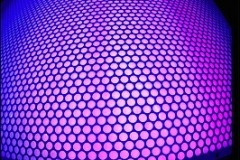 ballys-purple