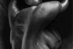 Edward Weston